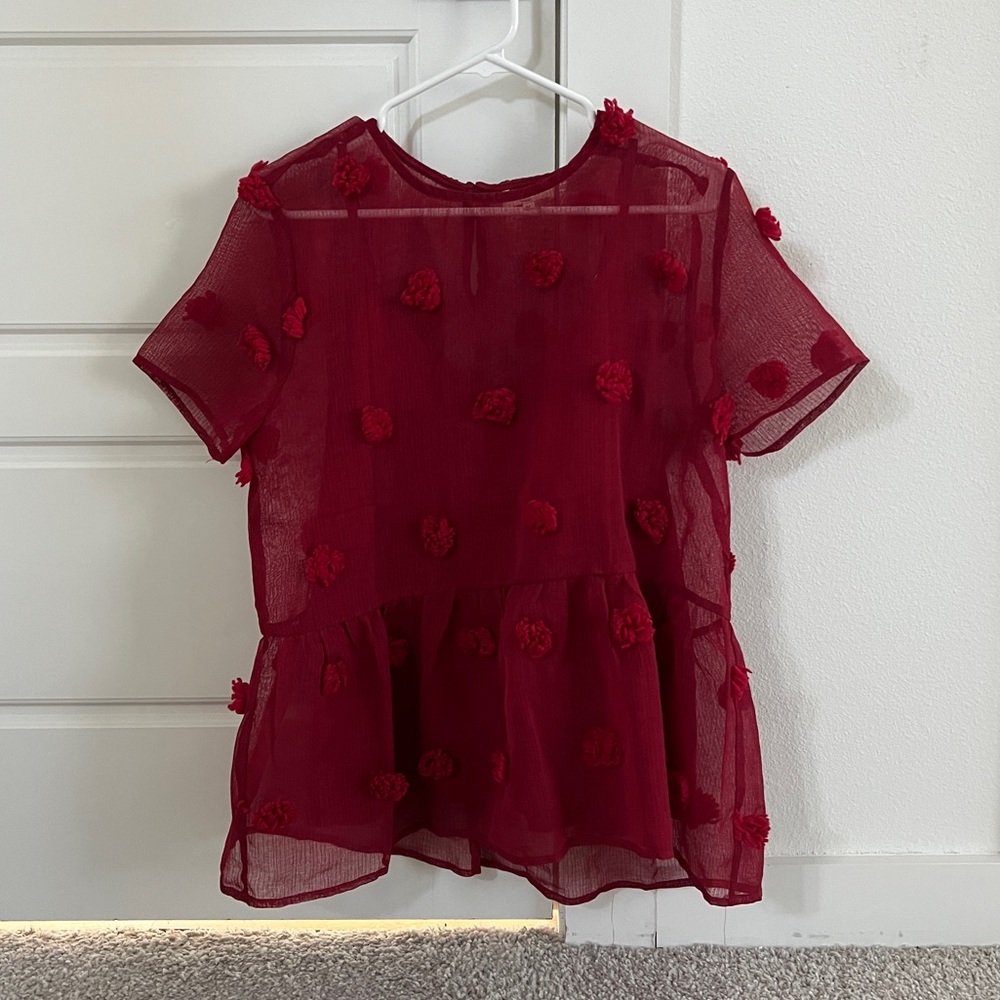 Sheer Pom Pom Blouse